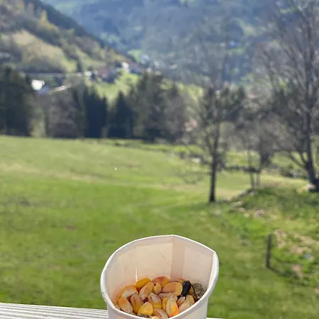 Vakantiehuis Le Vertbruche - Avec Superbe Vue Pour 15 Pers La Bresse