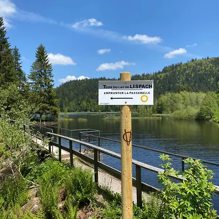 Le Vertbruche - Avec Superbe Vue Pour 15 Pers