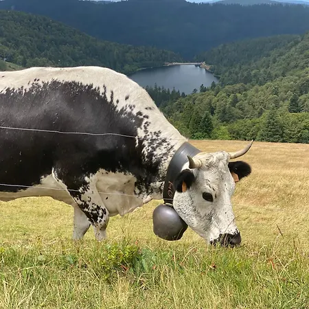 Vakantiehuis Le Vertbruche - Avec Superbe Vue Pour 15 Pers