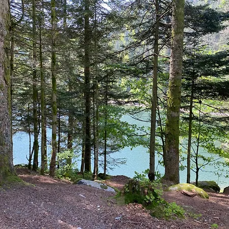 Le Vertbruche - Avec Superbe Vue Pour 15 Pers * La Bresse