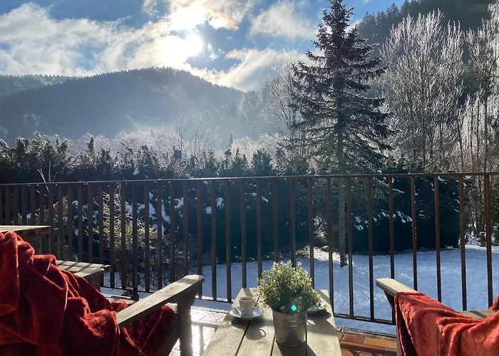 Le Vertbruche - Avec Superbe Vue Pour 15 Pers * La Bresse