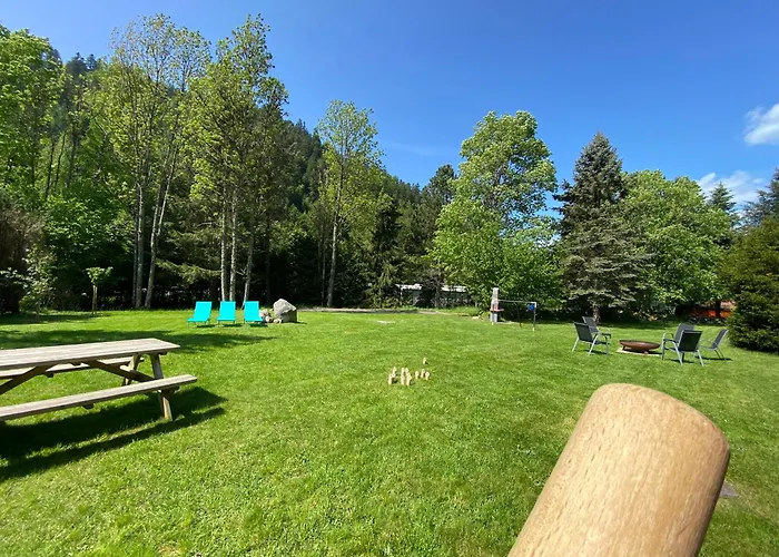Le Vertbruche - Avec Superbe Vue Pour 15 Pers La Bresse