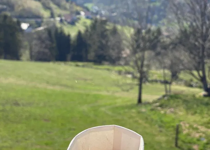 Prázdninový dům Le Vertbruche - Avec Superbe Vue Pour 15 Pers La Bresse