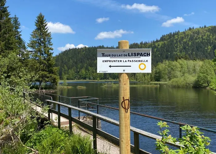 Le Vertbruche - Avec Superbe Vue Pour 15 Pers