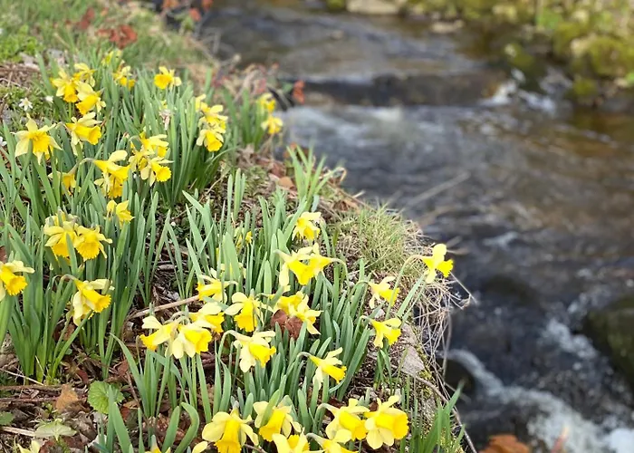 Le Vertbruche - Avec Superbe Vue Pour 15 Pers