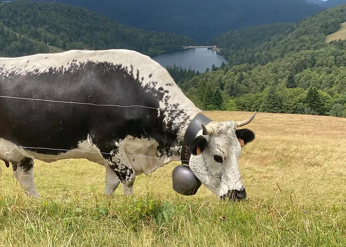 Prázdninový dům Le Vertbruche - Avec Superbe Vue Pour 15 Pers