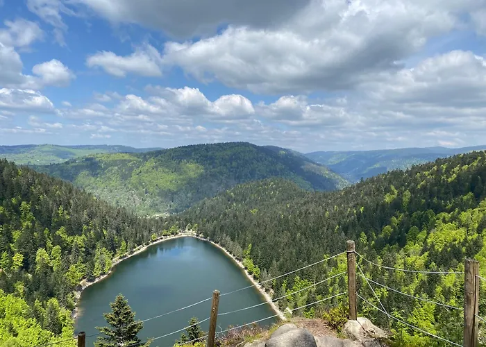 Le Vertbruche - Avec Superbe Vue Pour 15 Pers * La Bresse