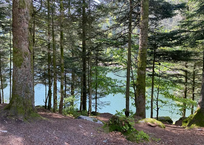 Le Vertbruche - Avec Superbe Vue Pour 15 Pers * La Bresse