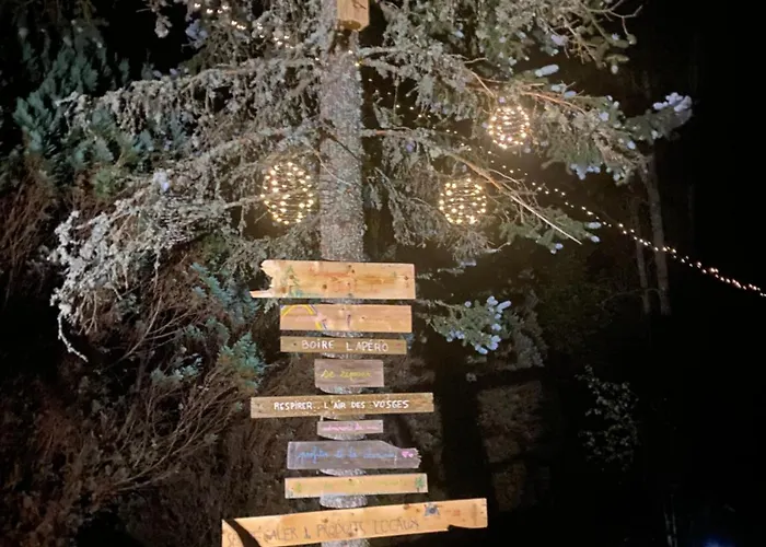 Le Vertbruche - Avec Superbe Vue Pour 15 Pers La Bresse