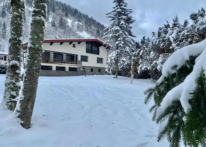 Le Vertbruche - Avec Superbe Vue Pour 15 Pers La Bresse